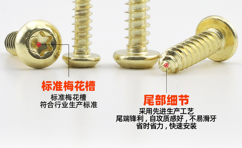 304不锈钢金色圆头梅花自攻螺丝_03_11.jpg
