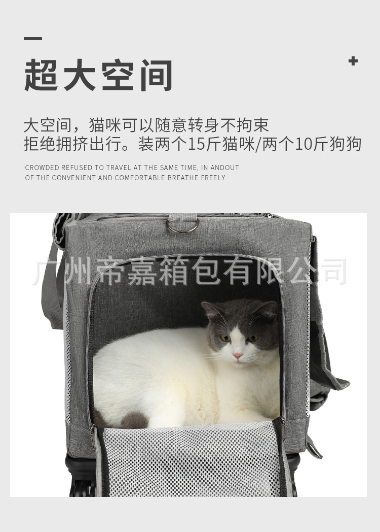 宠物包A_07.jpg