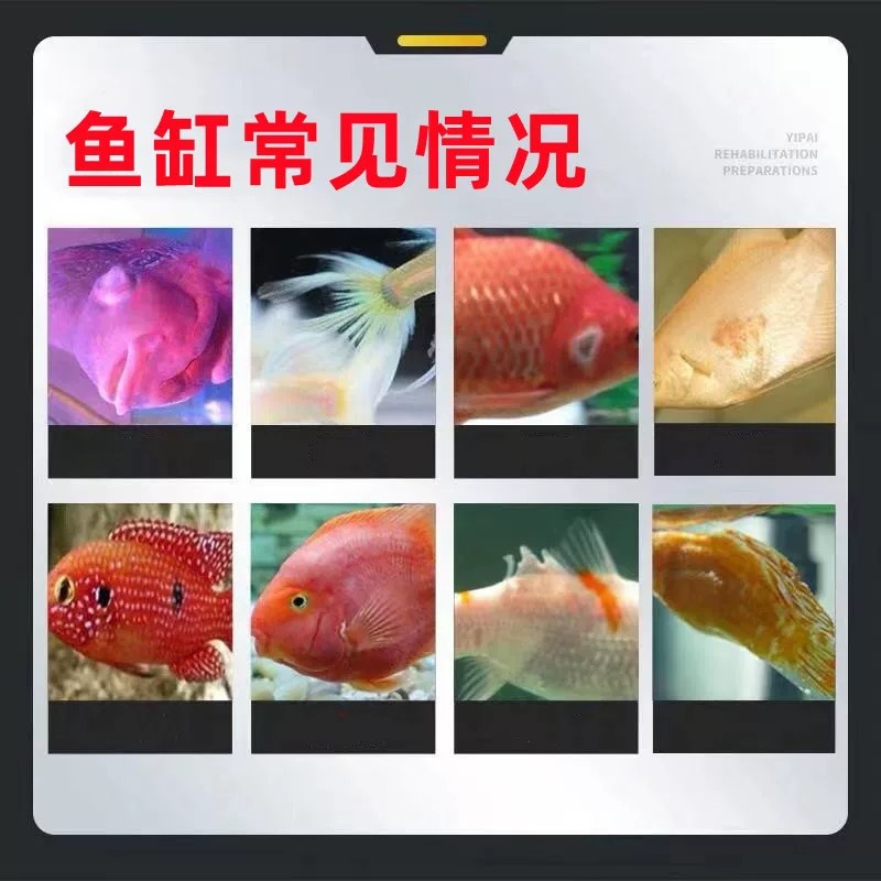 微信图片_20250510104535