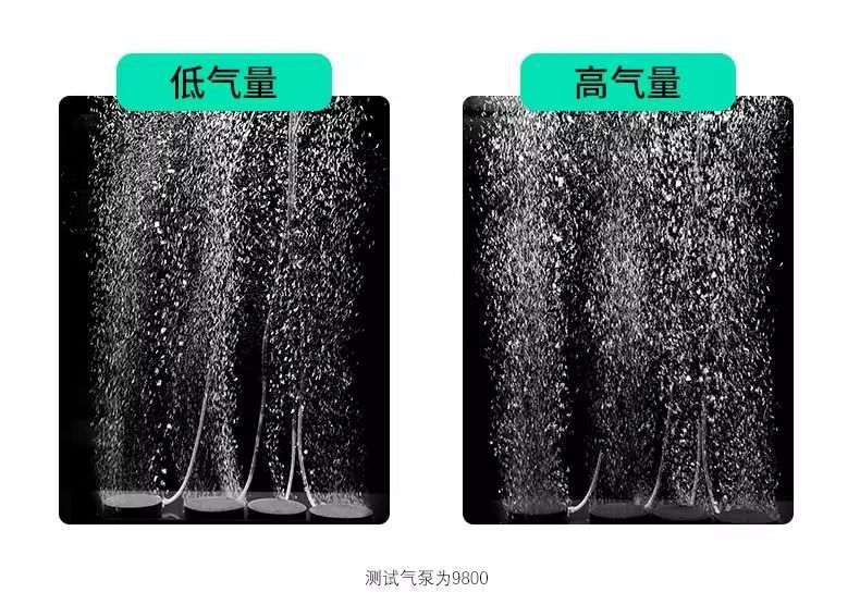 9111928e-2541-44b6-bc7e-bb3a1ab2e9b6.jpe