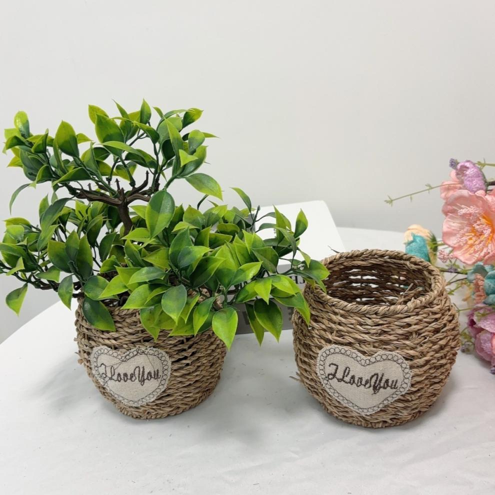 6cc1b079-9e94-467b-ae32-517f46630ab1.jpe