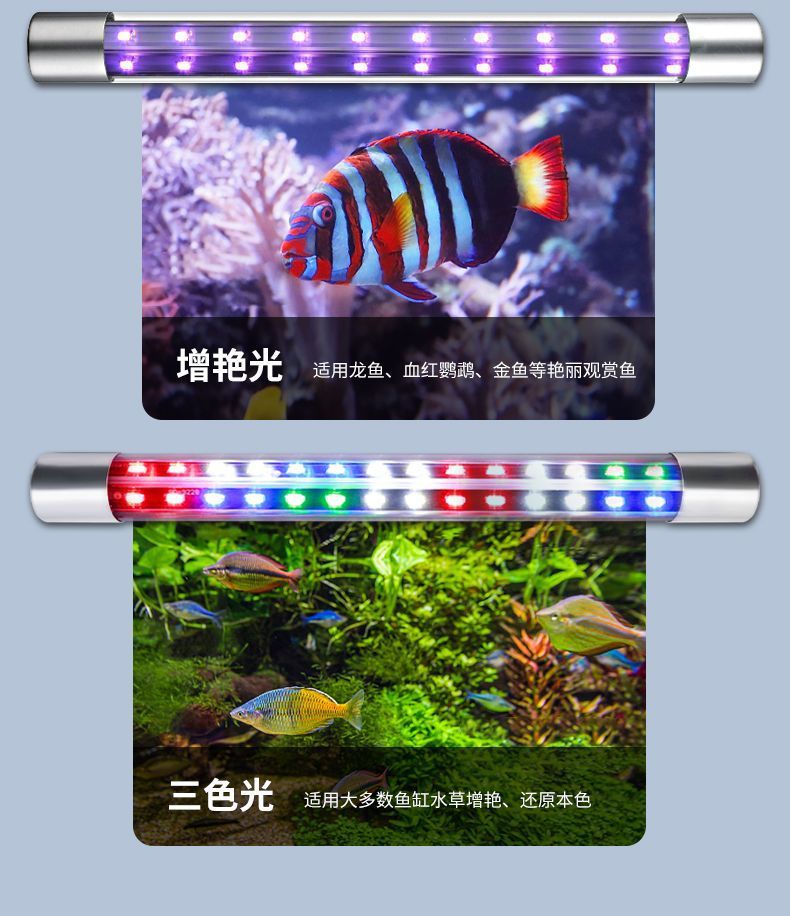 fcdfb039-b1f8-431f-8688-b04a85347b5e.jpe