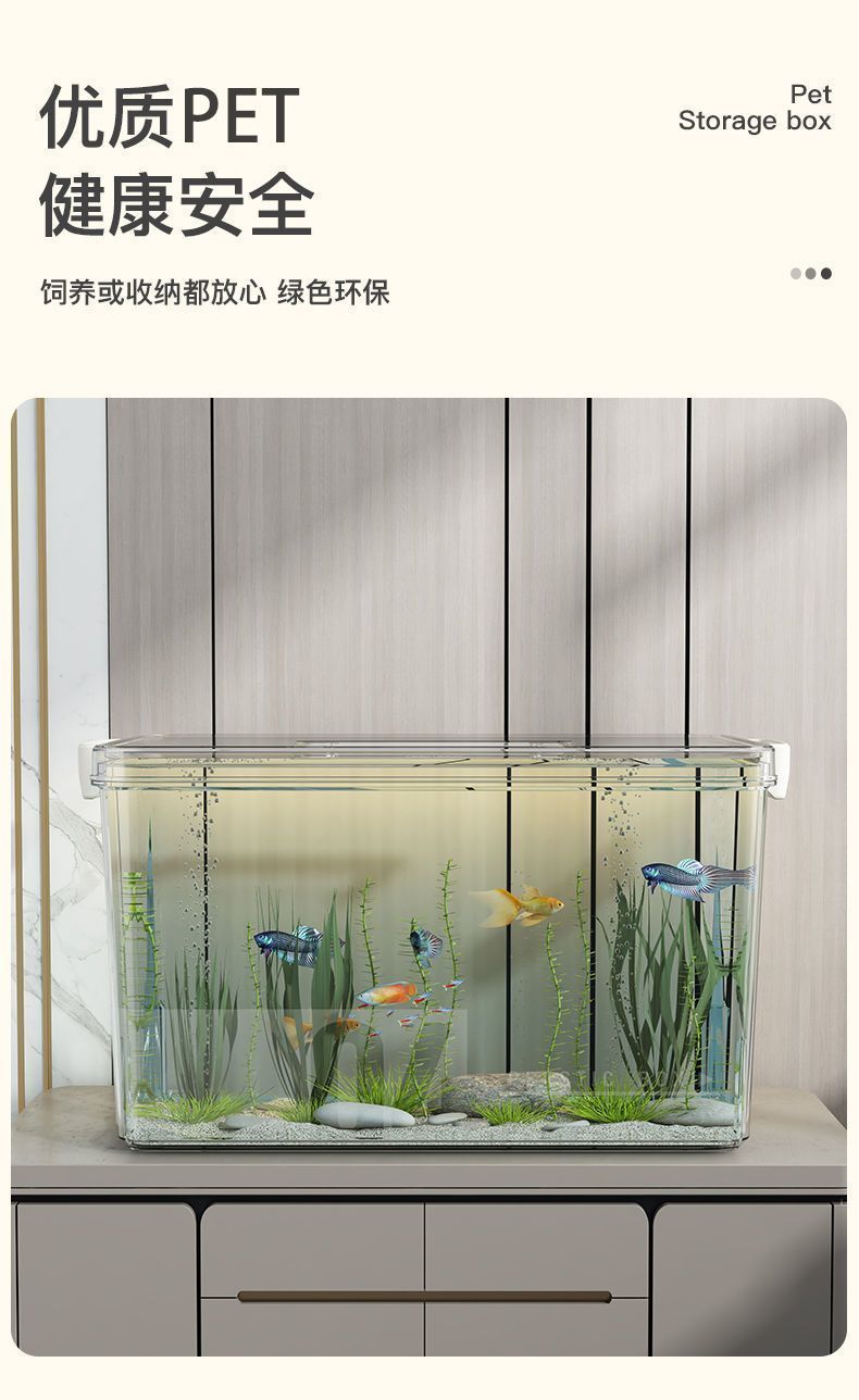 ed705755-802c-4af5-ad1d-1e4ce9447055.jpe