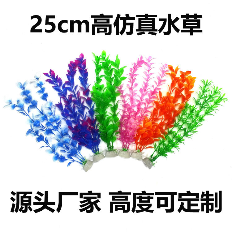 主图2.1.jpg