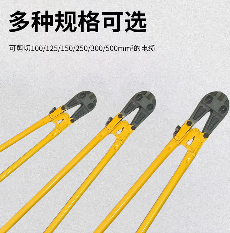 微信图片_20250328111656.jpg