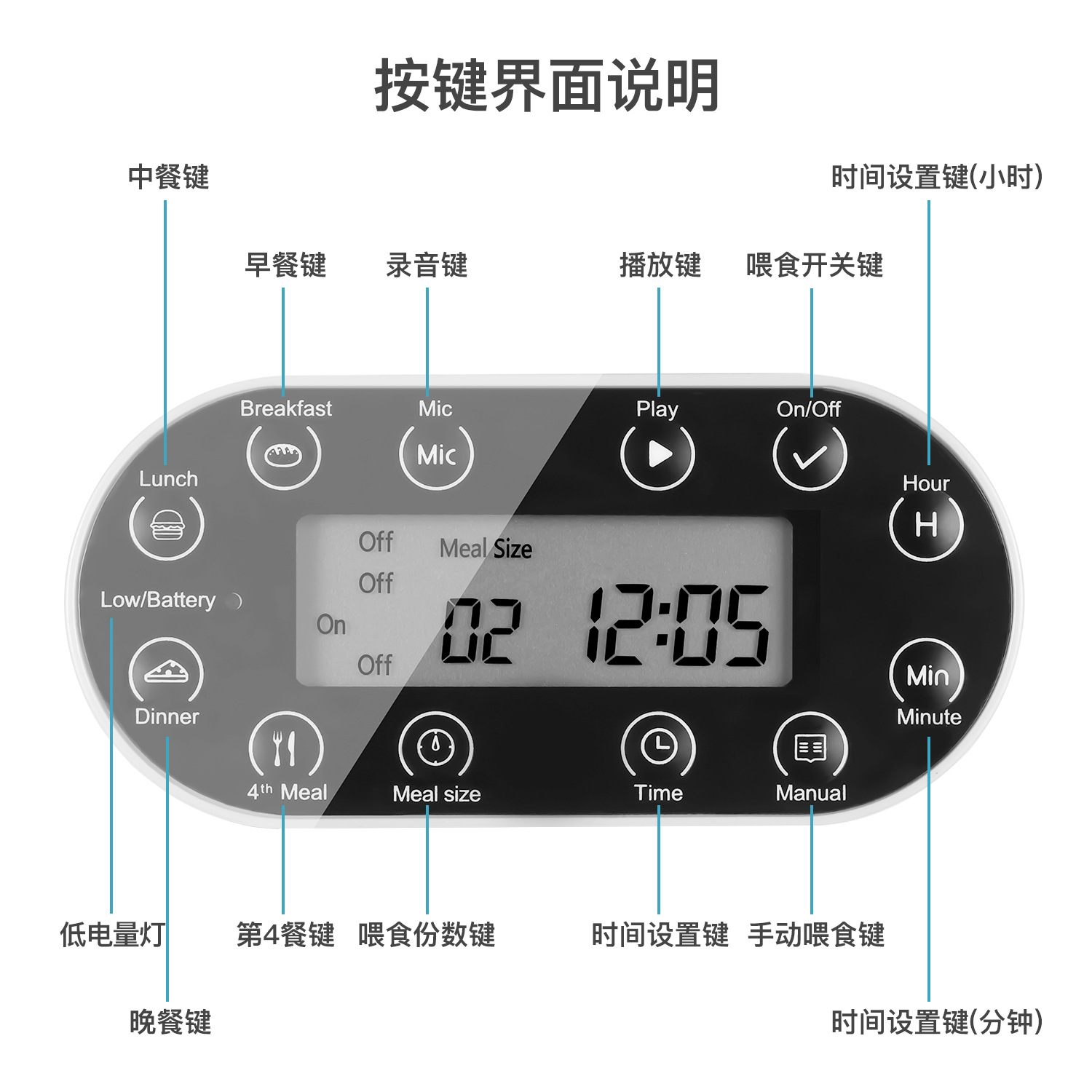 RAOZHIXIANG品牌喂食器 (7).jpg