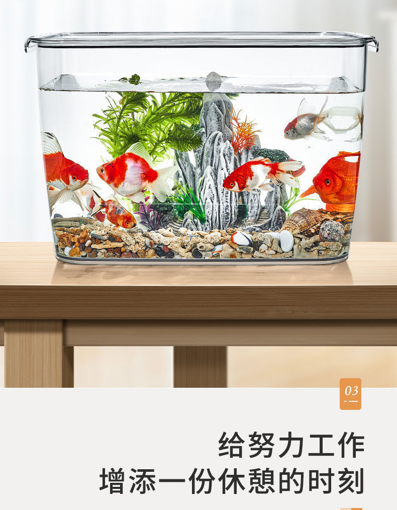 b22e0c18-3fba-490a-adad-635922dffc7b.jpe