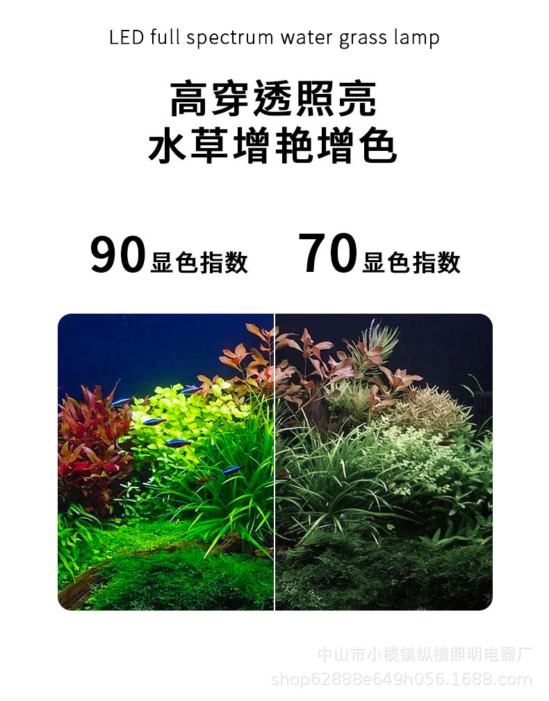 详情_04.jpg