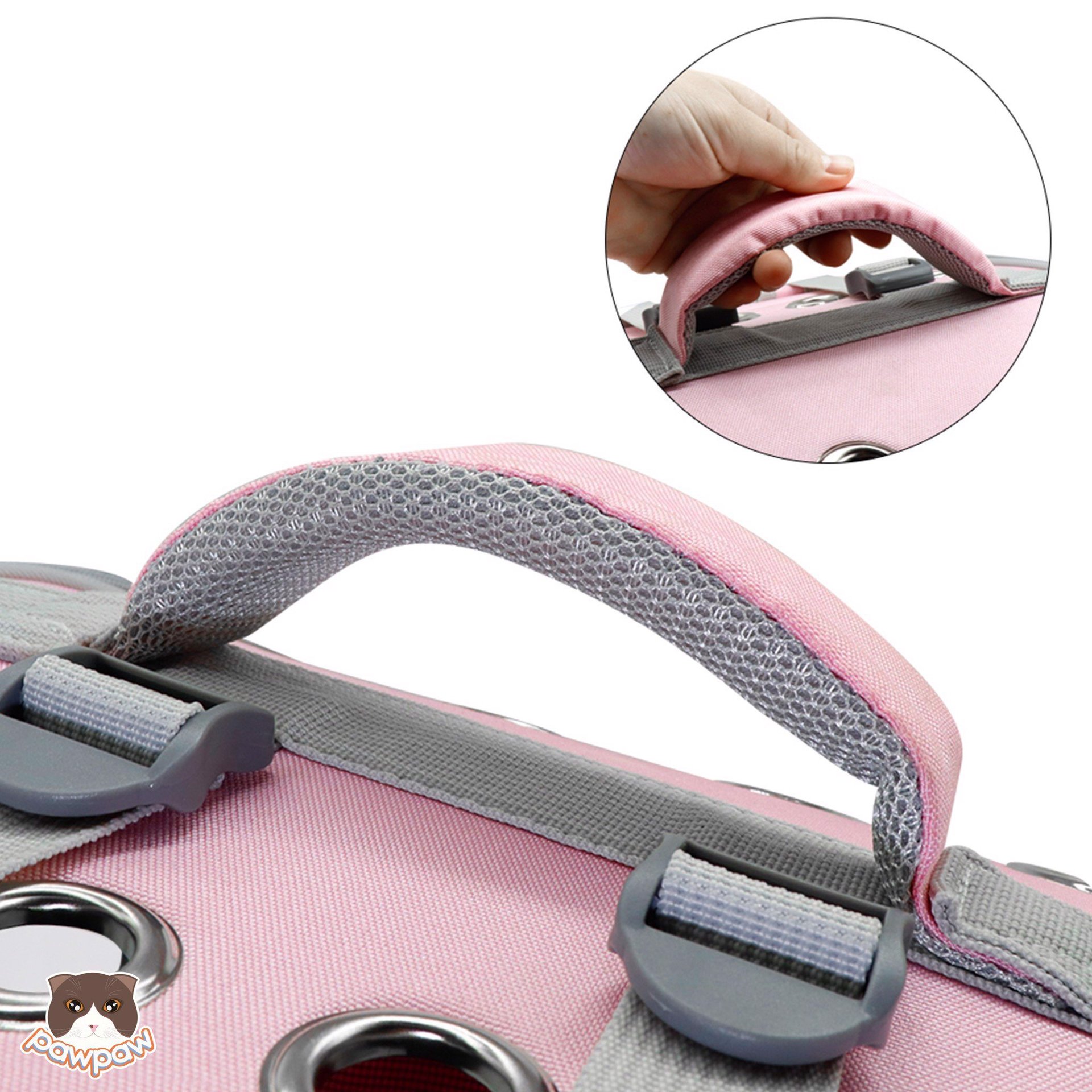 d57d43b4-8185-40e4-a113-c3b839