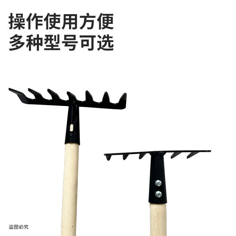 微信图片_20241219102905
