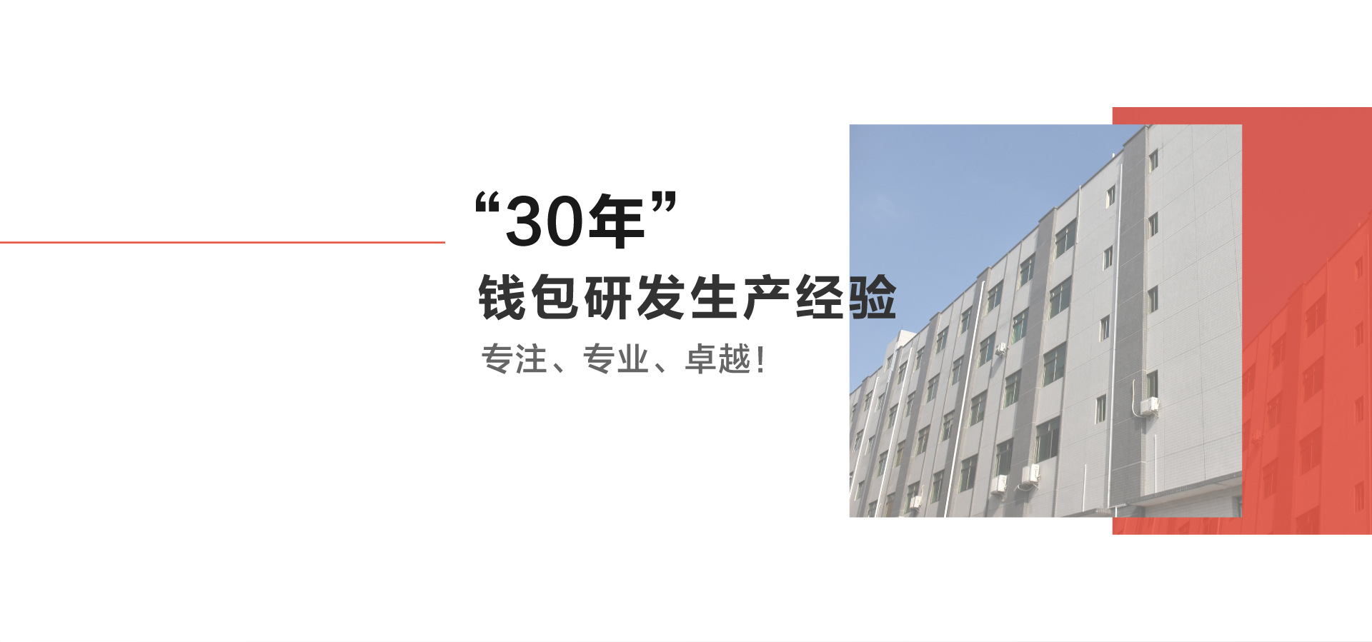 30年公司形象电脑版