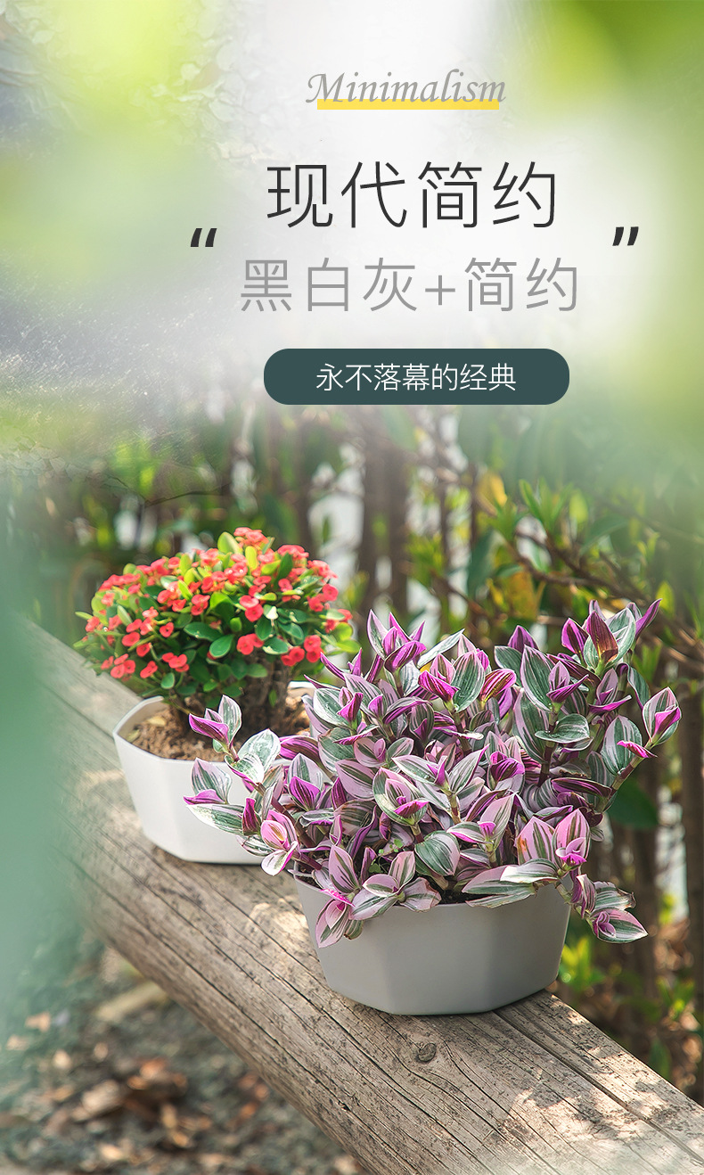 比加盆详情页分页_01