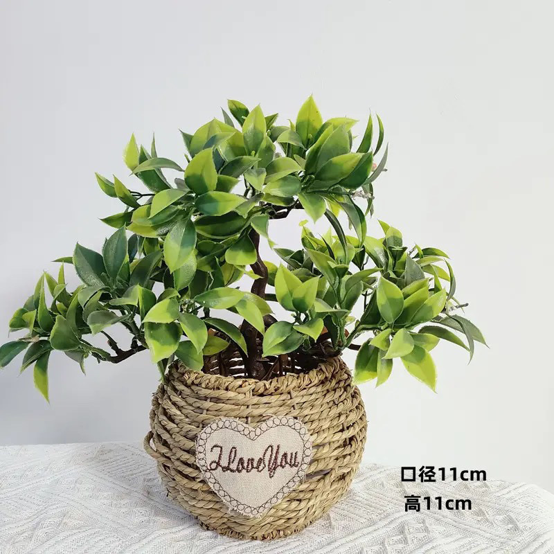 79e7cd34-5108-4641-8ea7-0866233ef139.jpe