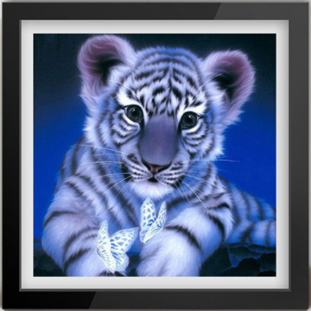 DAX4323-1可爱虎30-30