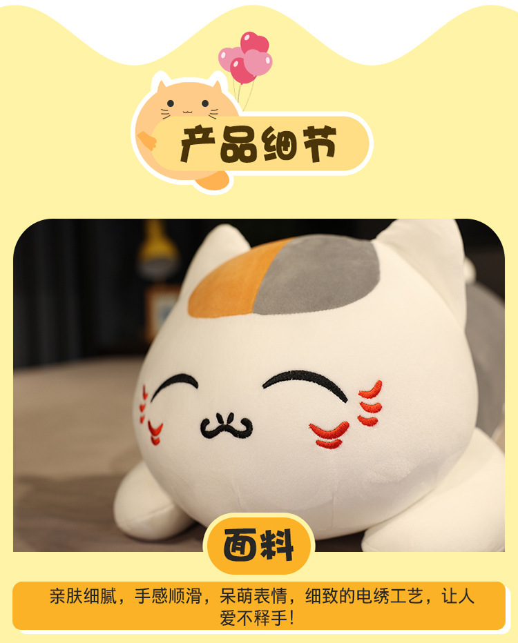 46-毛老师抱枕