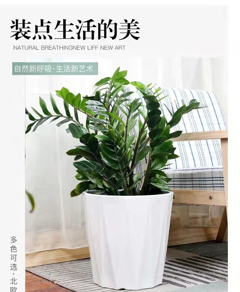 2d14b970-9667-4c37-9f69-907139f21629.jpe