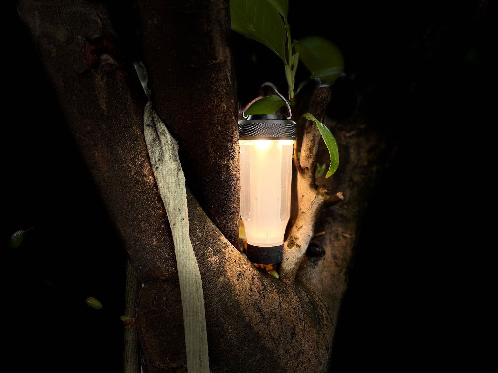 O1CN01c58Oww1vw8hSTw05b_!!2212