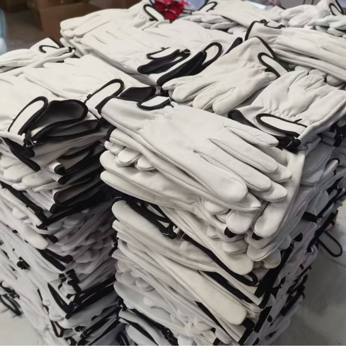 2025-03-15 17:21:28.jpg