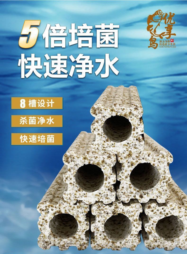 ca060cc7-a10e-4a2e-bafb-c5543af5a0dc.jpe