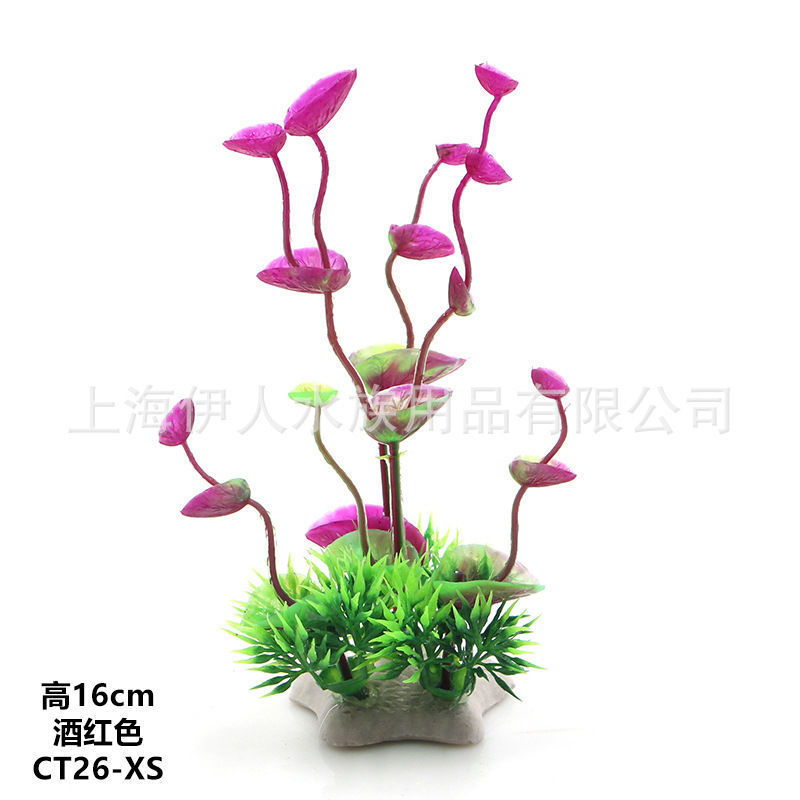 12529a3c-7827-4620-b333-f58f9a5c67e3.jpe