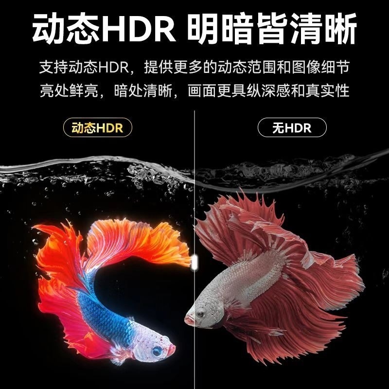 2f24f375-7d2d-4249-8b91-a360f2d7903a.jpe
