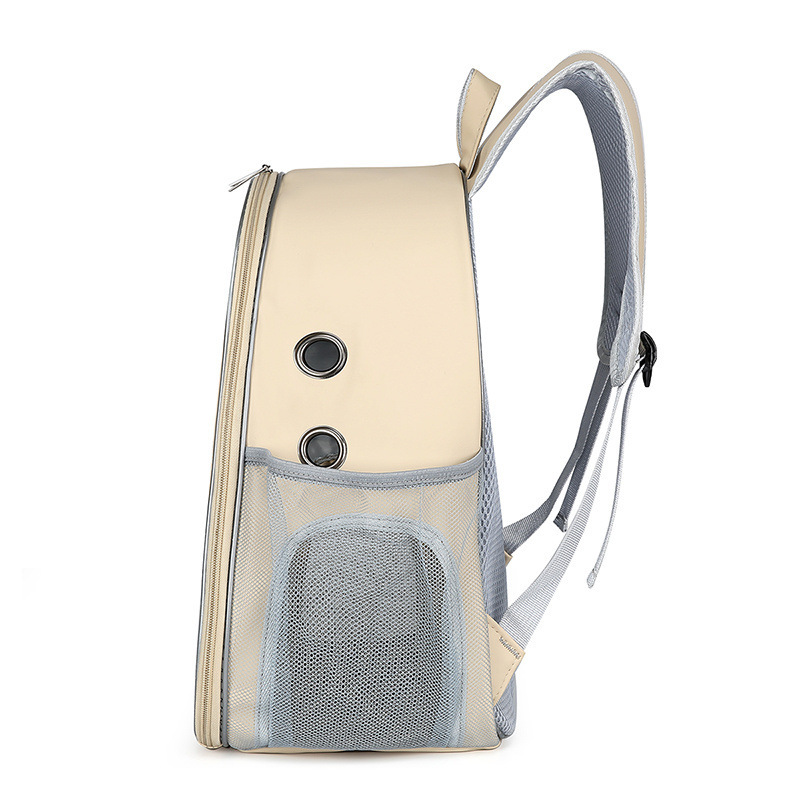 d932fa0e-ca94-4dd0-93e0-d88268e21b2e.jpe