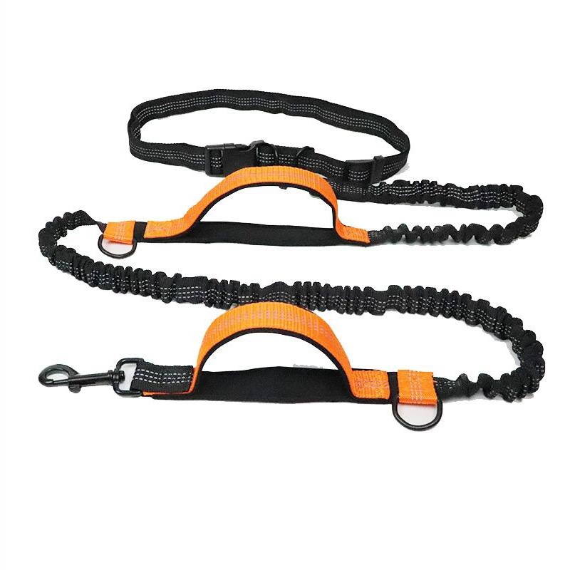 橙色.jpg?x-oss-process=image/format,png