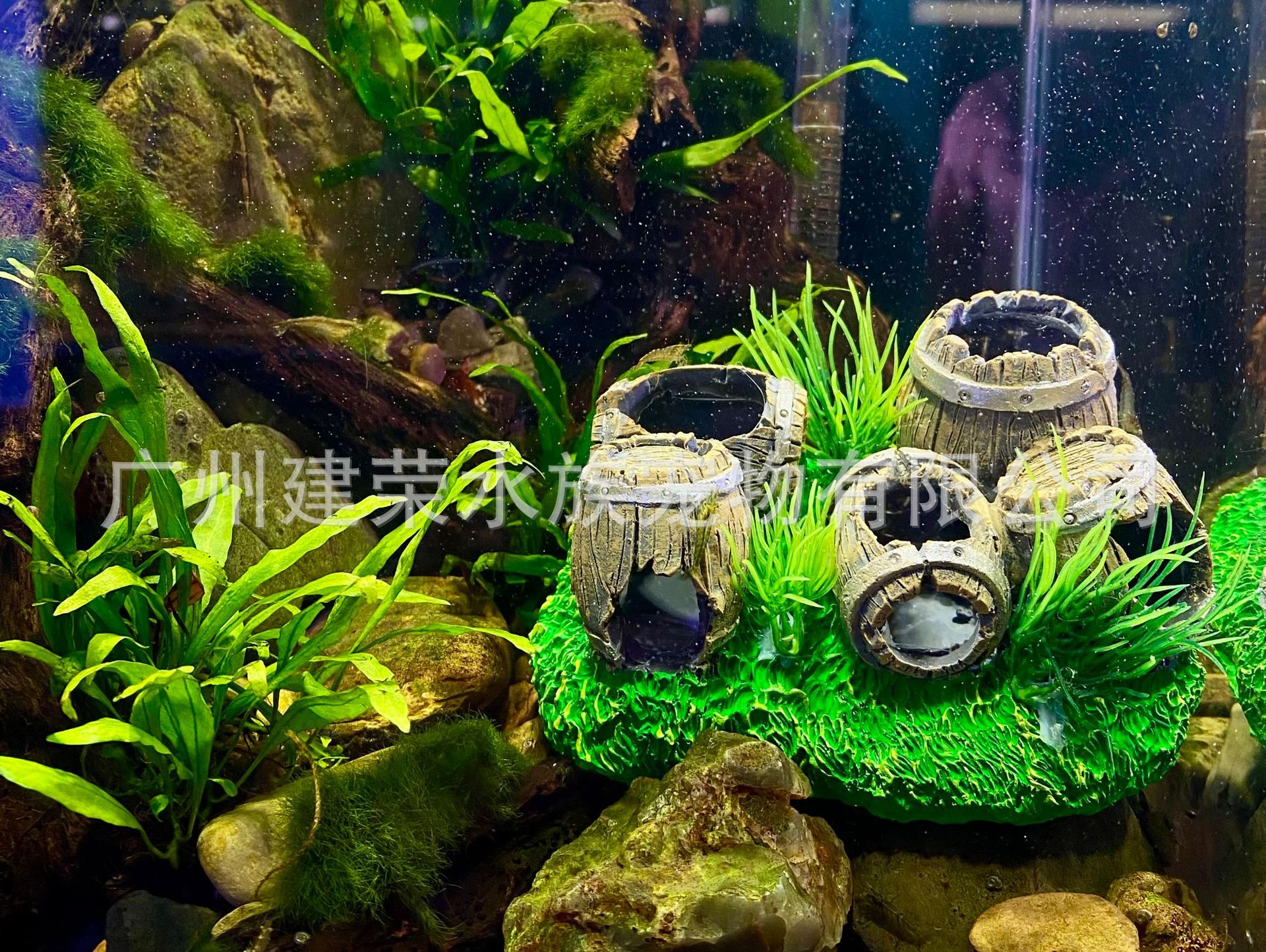 微信图片_20240101115757