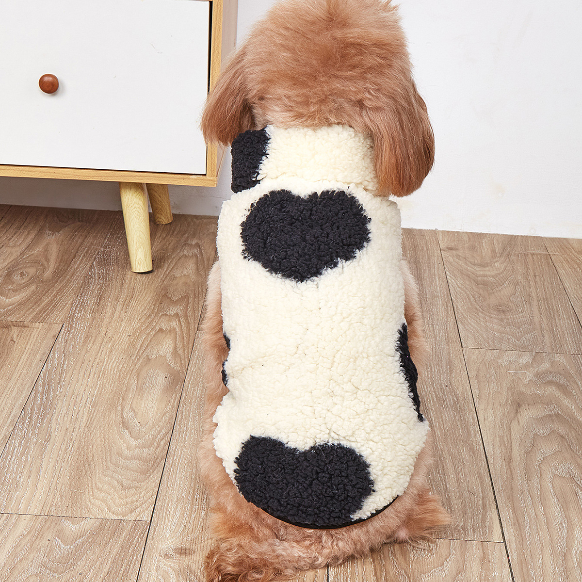 2Z5A2897 - 副本.jpg