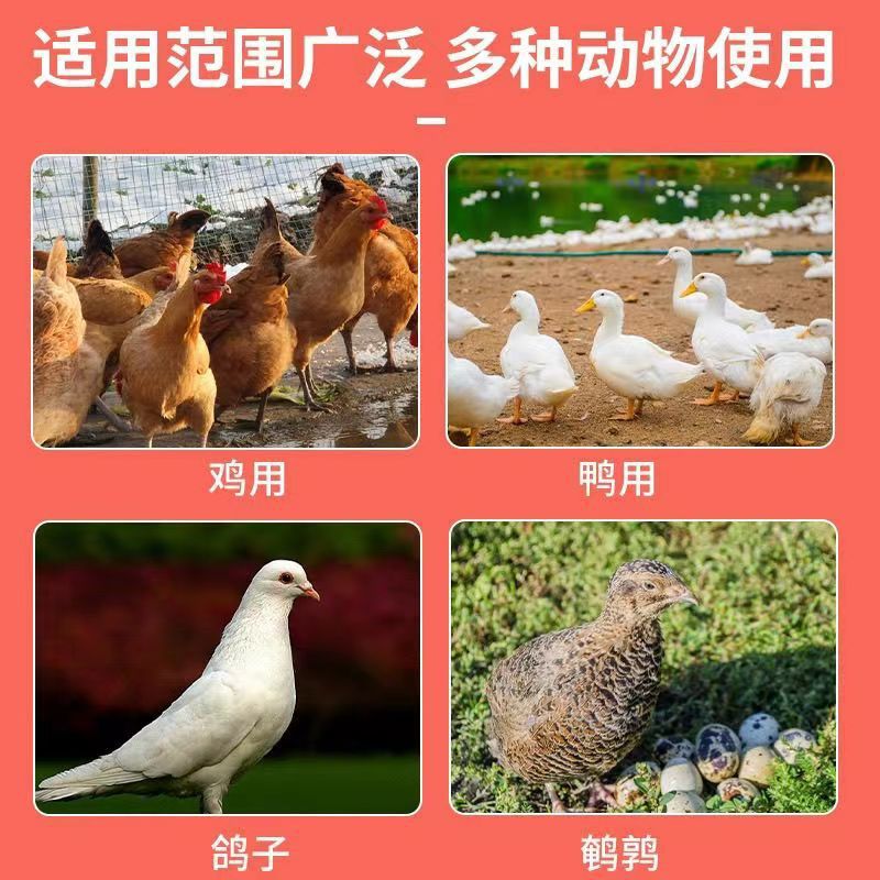 dc5a12e9-74bf-44b6-bc22-c99e17dcf6e1.jpe