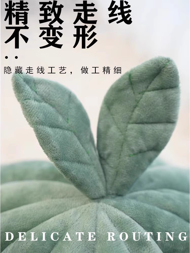 31cdcdca-80f9-488d-ab5f-e1f05addd136.jpe