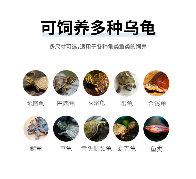 f57a2489-6800-4558-8232-b1289efe8676.jpe