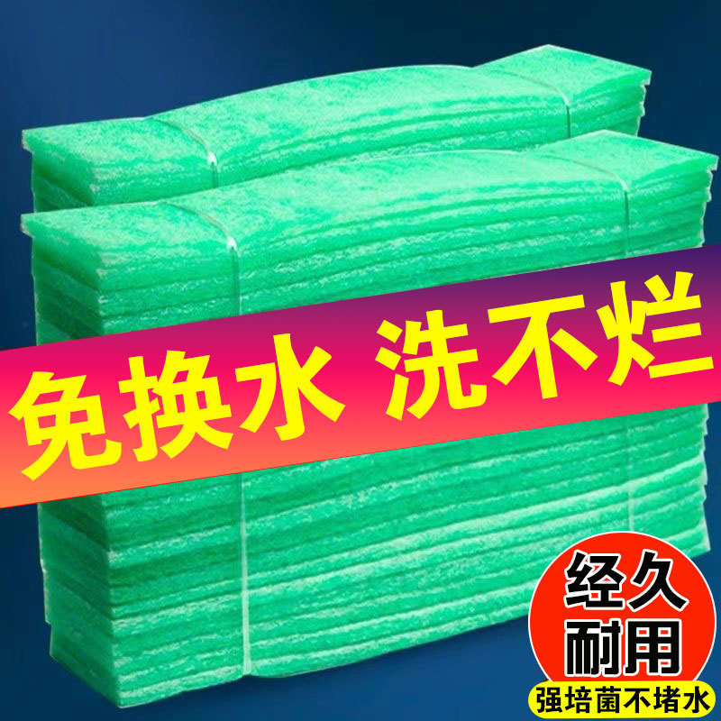 600b2ad2-a1e5-4707-8d60-7659cc46f571.jpe