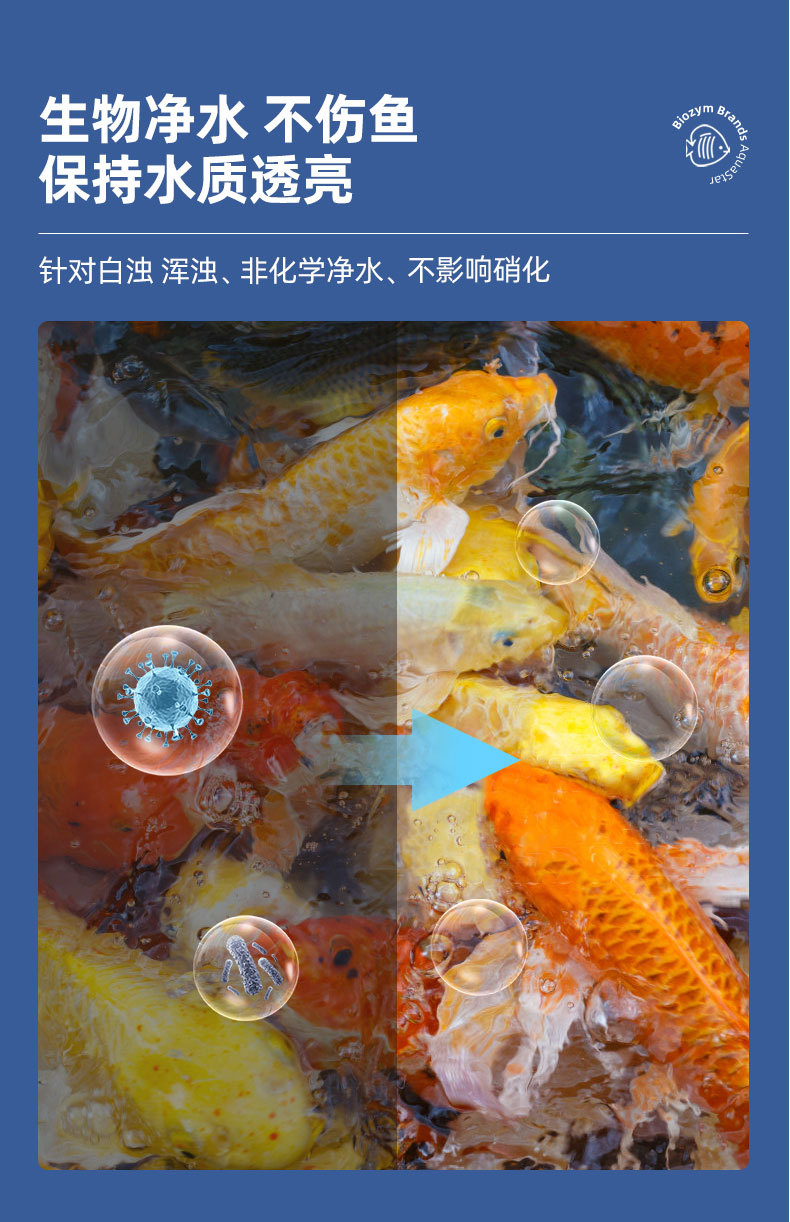 详情_08.jpg