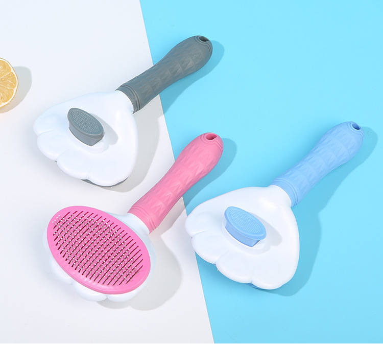 08b0a0cc-dbcc-4eab-80b6-522d369fb190.jpe