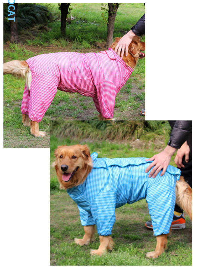 39834ab7-5b65-413a-a695-971a5deeee22.jpe