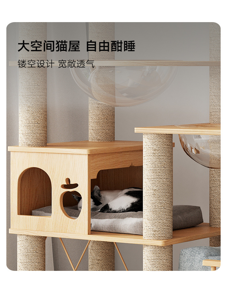 0ea8cec1-b875-41d1-8af0-3d77ed7fe971.jpe