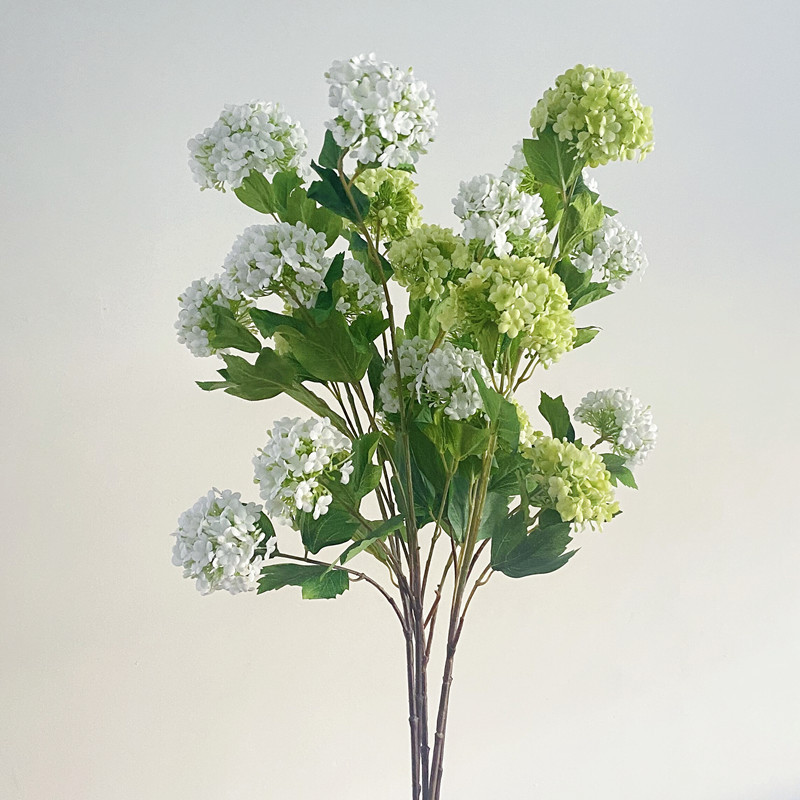 5头长杆绣球2