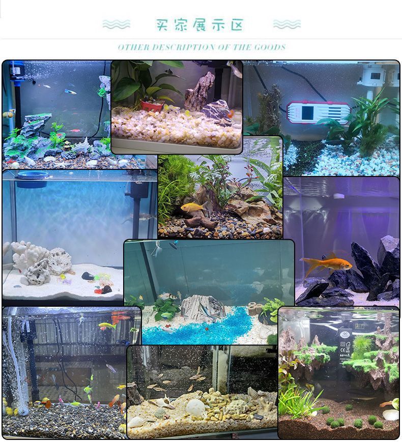 0459b6c8-63be-495e-ab29-e24285d1a3ec.jpe