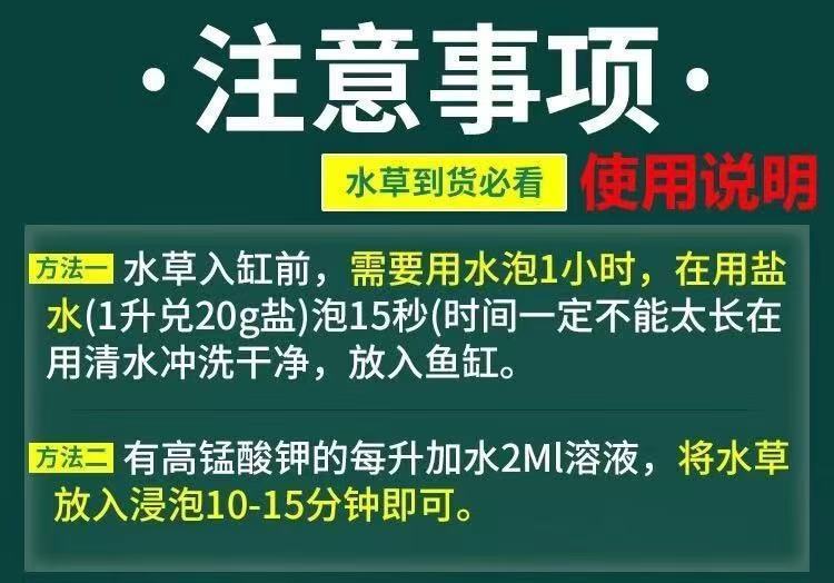 e8e6c713-0efc-4dc6-9946-05dda10e9172.jpe