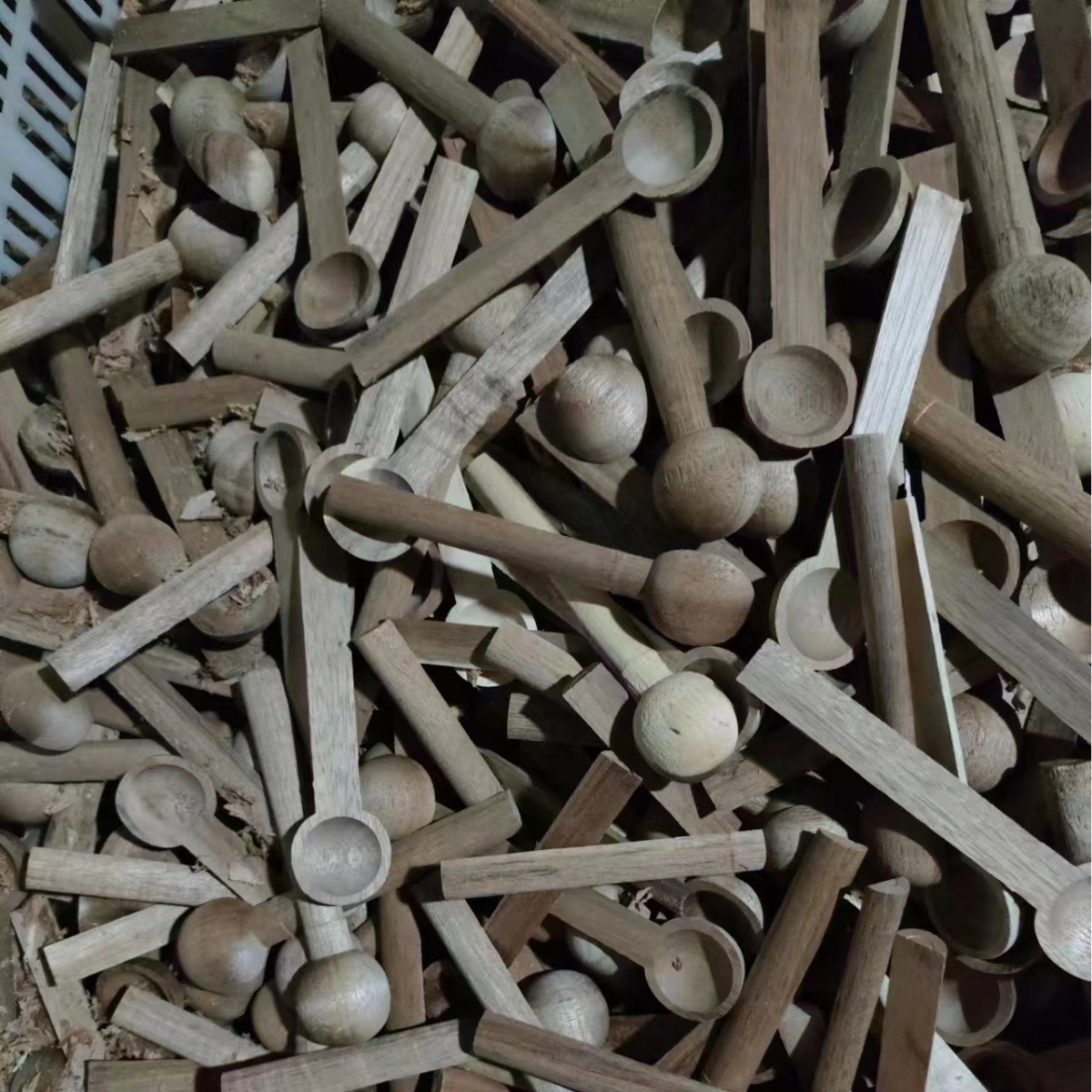 2023-12-08 09:56:23.jpg