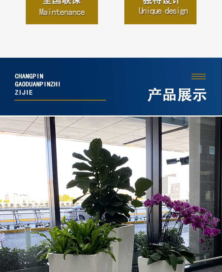详情图_3.jpg