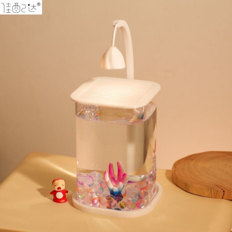 a2551d7a-c031-4059-a95f-7db63edf58f4.jpe