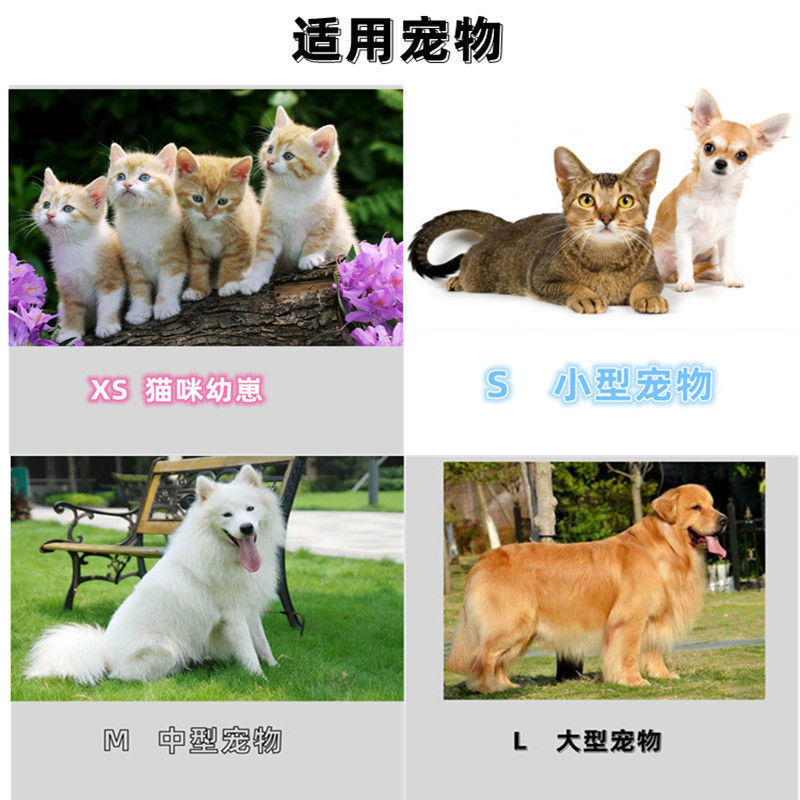 7e187a33-04cc-4334-908f-65f3dbe80c5f.jpe