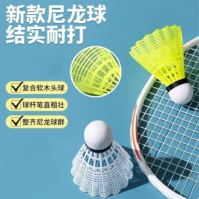羽毛球 (26)