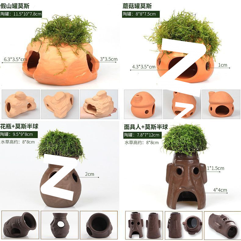 fe2ca167-21d4-45e1-953b-5b62f759e3ba.jpe