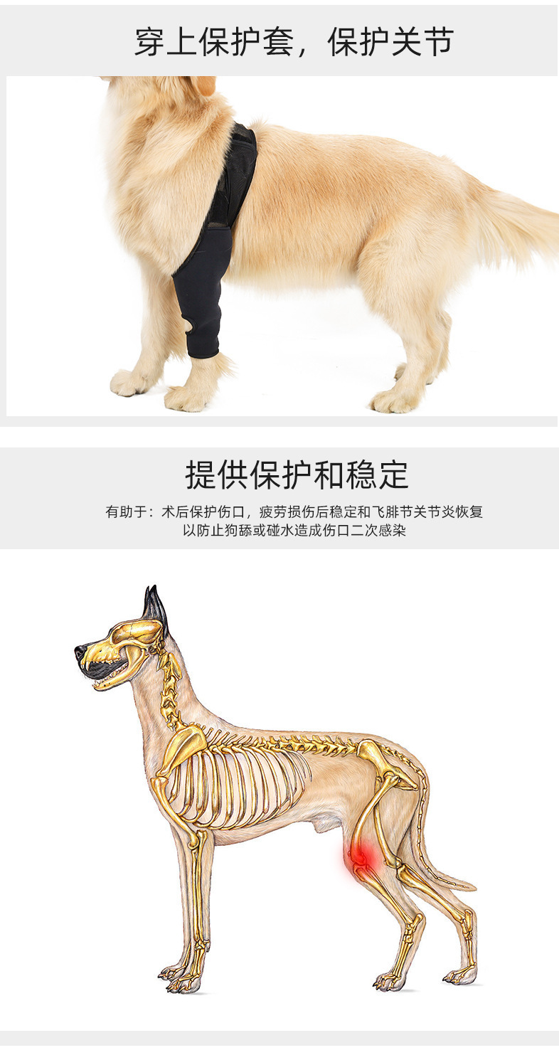 O1CN01U40u9q1NoAoJglsNU_!!2209