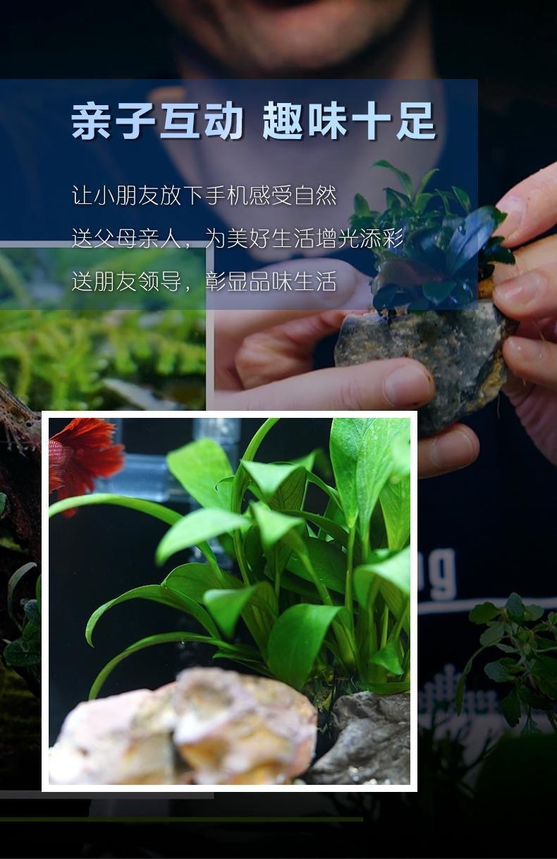 a23abfb2-4206-47d5-b3e2-bf0655ac6b43.jpe