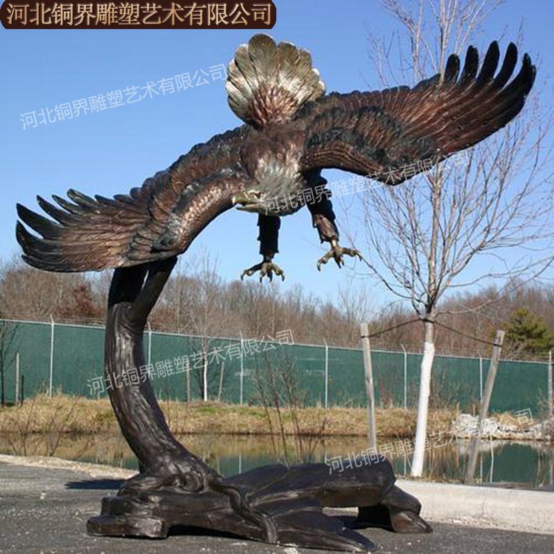 鹰 (3).jpg