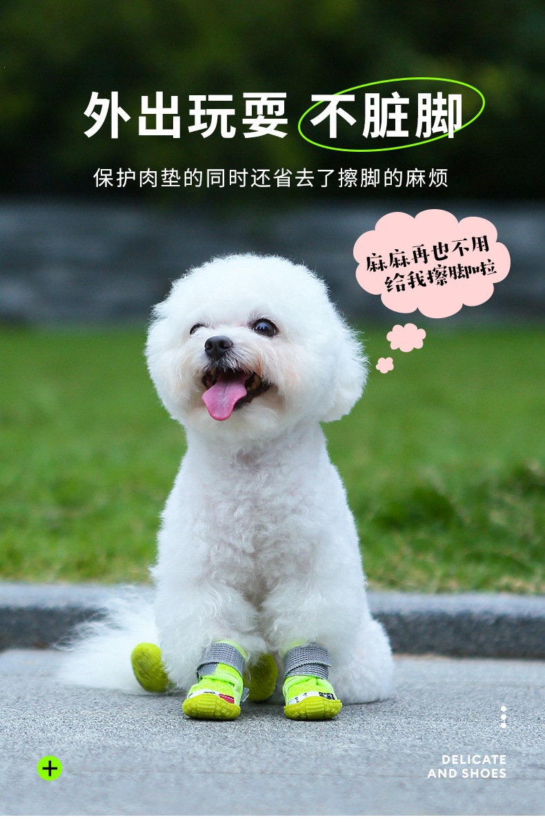 QQ图片20250402095545